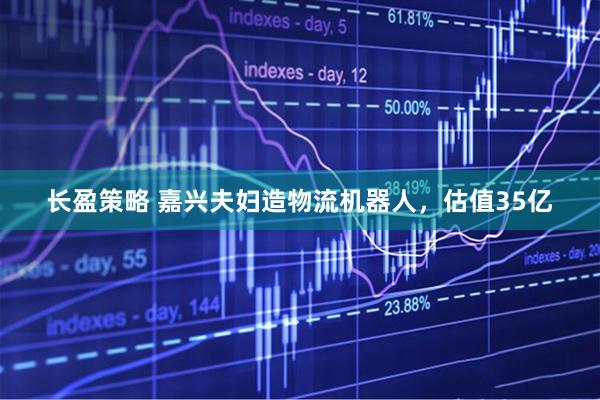 长盈策略 嘉兴夫妇造物流机器人，估值35亿
